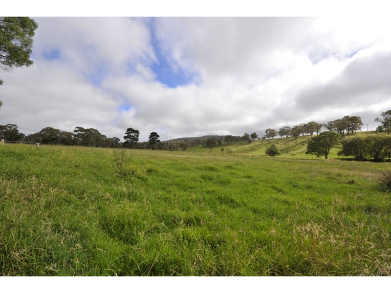 Pipeclay Ridge Via Armidale, Ebor NSW 2453