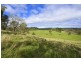 Pipeclay Ridge Via Armidale, Ebor NSW 2453