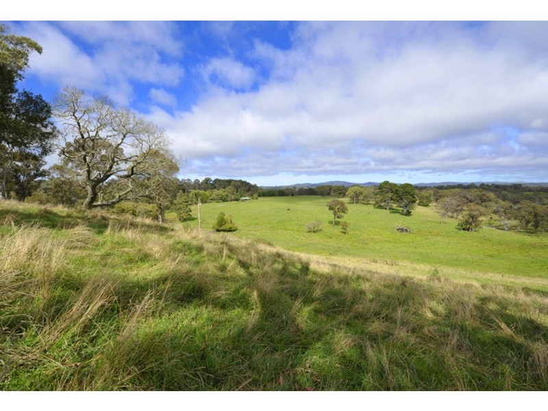 Pipeclay Ridge Via Armidale, Ebor NSW 2453