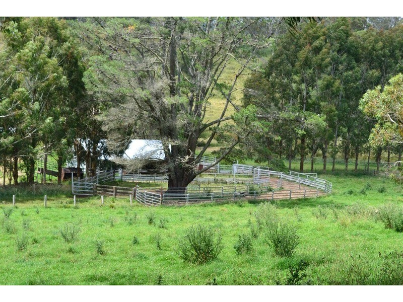 Pipeclay Ridge Via Armidale, Ebor NSW 2453