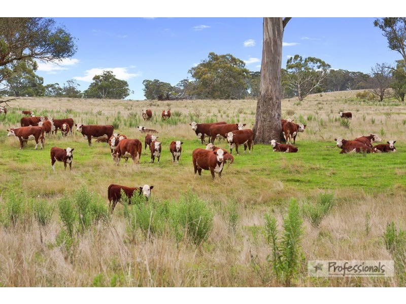 Nevercan & Part Cleveland, Lakes  Road, Walcha NSW 2354