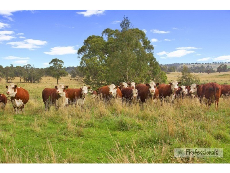 Nevercan & Part Cleveland, Lakes  Road, Walcha NSW 2354