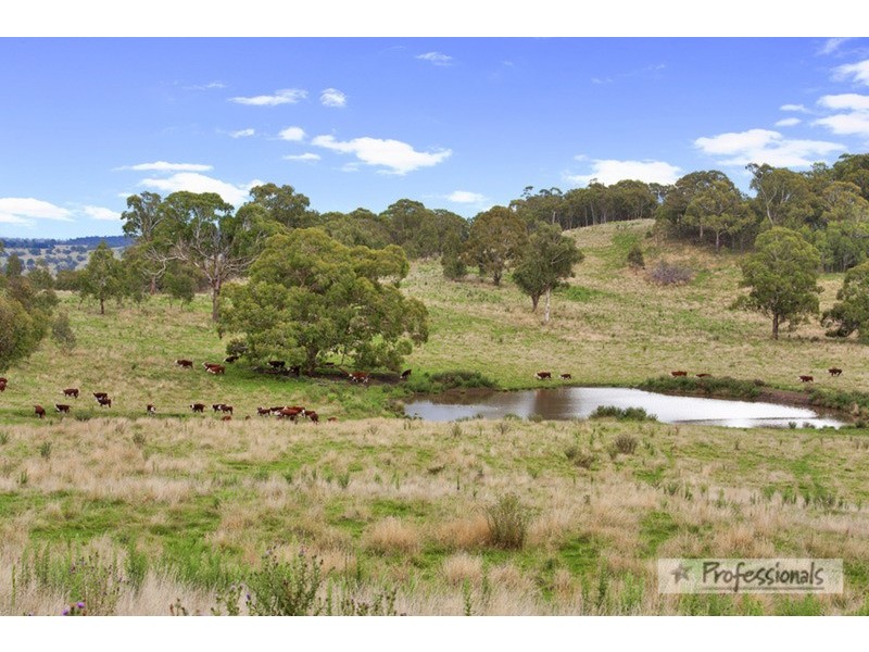 Nevercan & Part Cleveland, Lakes  Road, Walcha NSW 2354