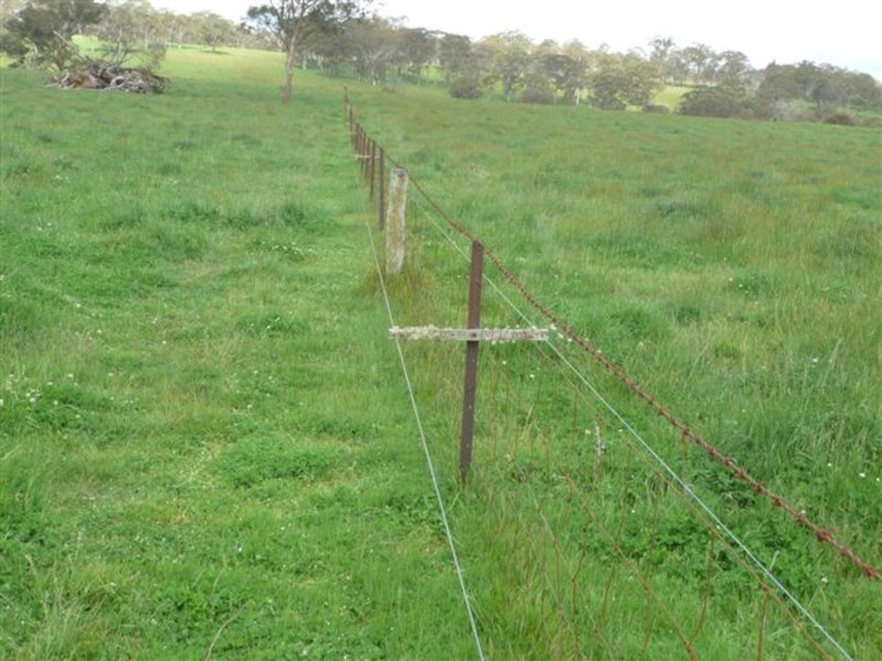 Nevercan & Part Cleveland, Lakes  Road, Walcha NSW 2354