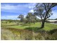 11690 Waterfall Way, Ebor NSW 2453