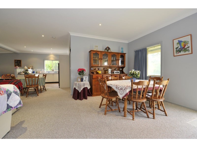 11690 Waterfall Way, Ebor NSW 2453