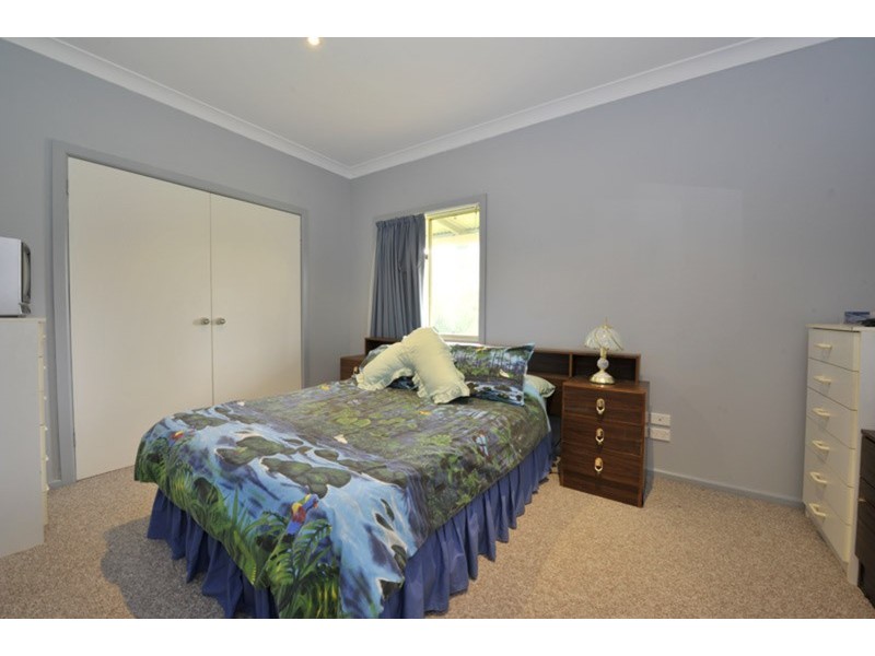 11690 Waterfall Way, Ebor NSW 2453