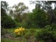 4 Myrene  Avenue, Calala NSW 2340