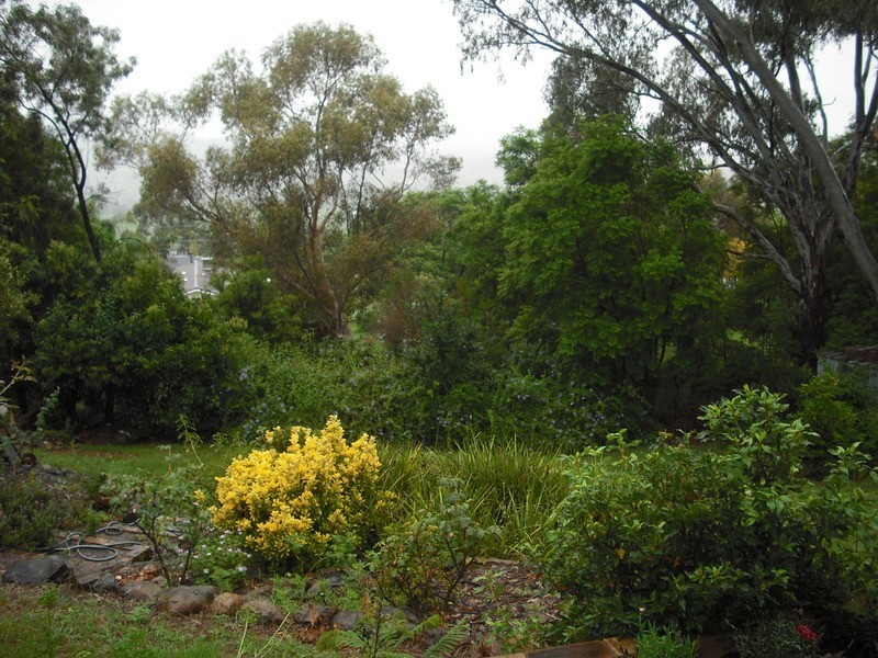 4 Myrene  Avenue, Calala NSW 2340