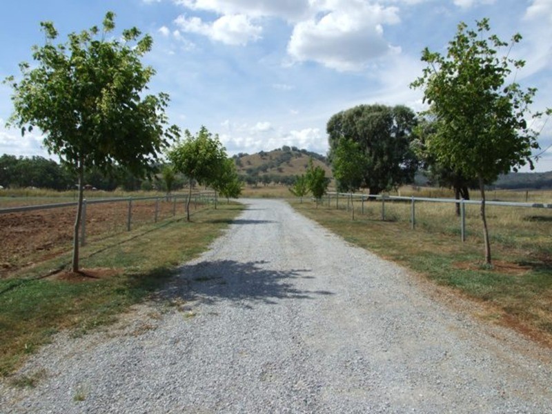 384 Nundle Road, Nemingha NSW 2340