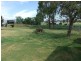 384 Nundle Road, Nemingha NSW 2340