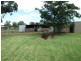 384 Nundle Road, Nemingha NSW 2340