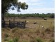 67 Avoca Road, Bowen QLD 4805
