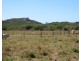 67 Avoca Road, Bowen QLD 4805
