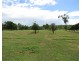 53 Africandar Road, Bowen QLD 4805