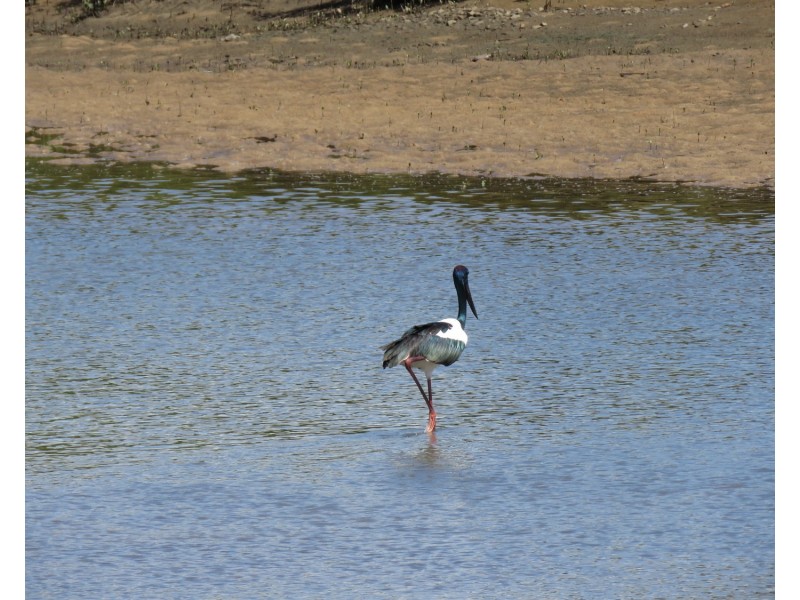 86 Whitsunday Street, Bowen QLD 4805