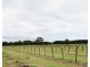 173 Inveroona Road, Bowen QLD 4805