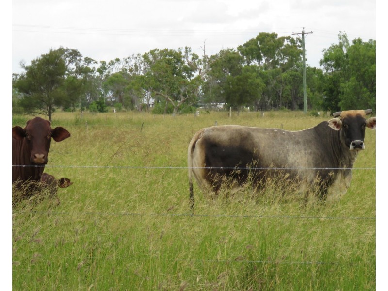 253 Kelsey Road, Bowen QLD 4805