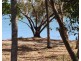 2 Horseshoe Bay Road, Bowen QLD 4805