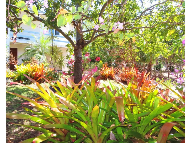 2 Horseshoe Bay Road, Bowen QLD 4805