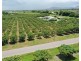 297 Inverdon Road, Bowen QLD 4805