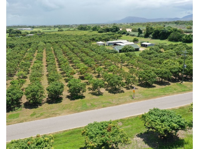 297 Inverdon Road, Bowen QLD 4805