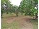 297 Inverdon Road, Bowen QLD 4805