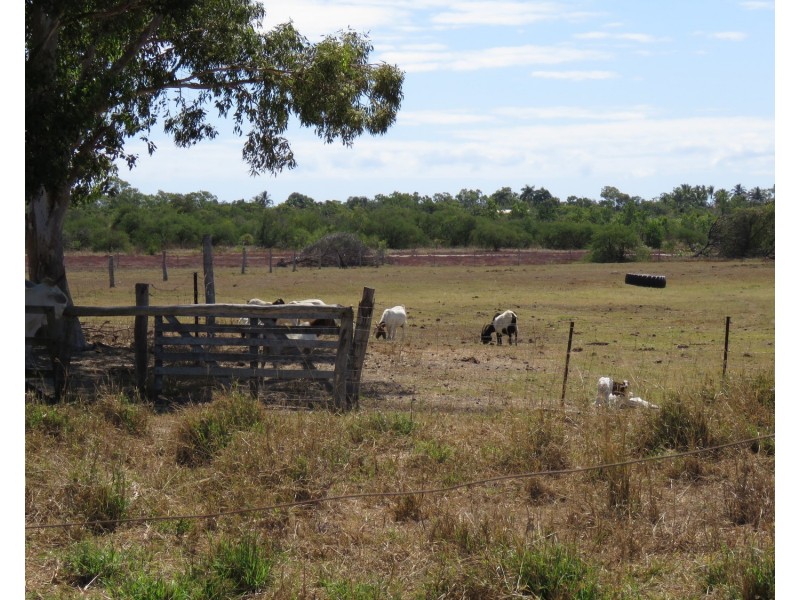 67 Avoca Road, Bowen QLD 4805
