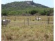 67 Avoca Road, Bowen QLD 4805