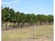 67 Avoca Road, Bowen QLD 4805