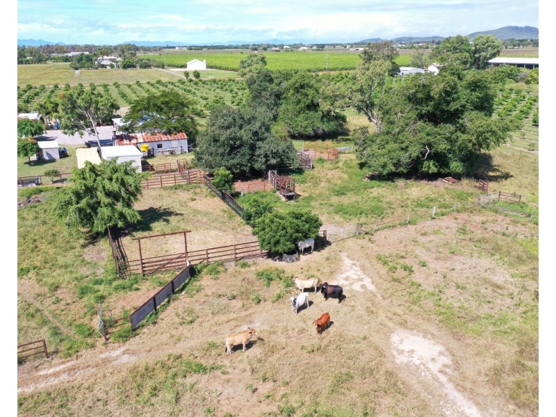 231 Telegraph Road, Bowen QLD 4805