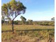 151 Africandar Road, Bowen QLD 4805
