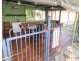 7 Troyon Court, Bowen QLD 4805