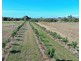 Lot 2 Inverdon Road, Bowen QLD 4805