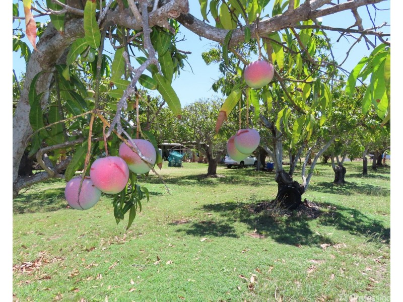 190 Richmond Road, Bowen QLD 4805