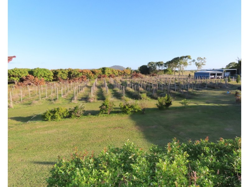 47 Flemington Road, Bowen QLD 4805