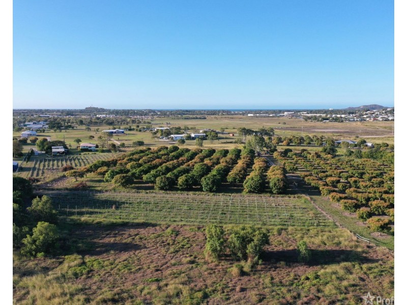 47 Flemington Road, Bowen QLD 4805