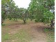 297 Inverdon Road, Bowen QLD 4805