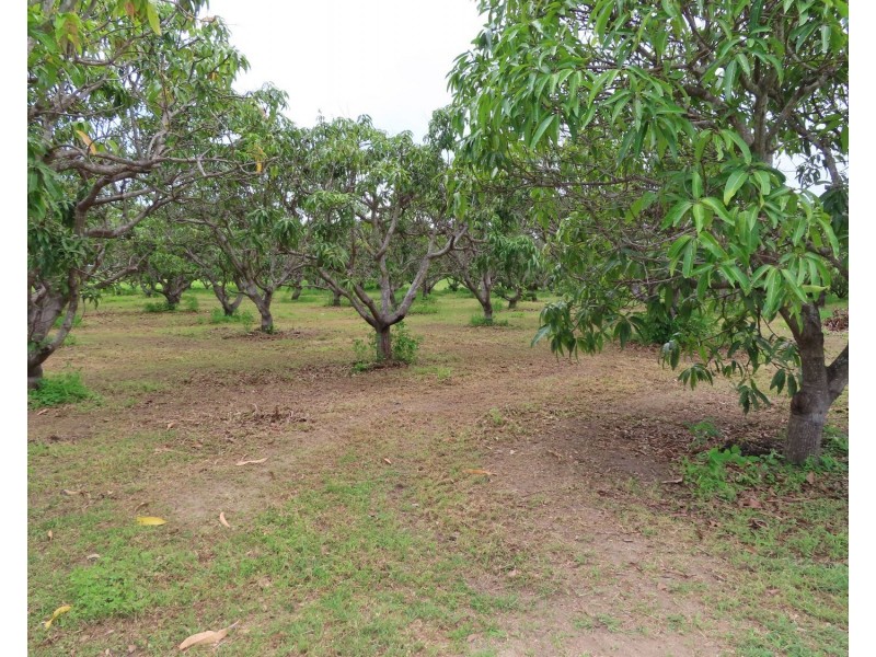 297 Inverdon Road, Bowen QLD 4805