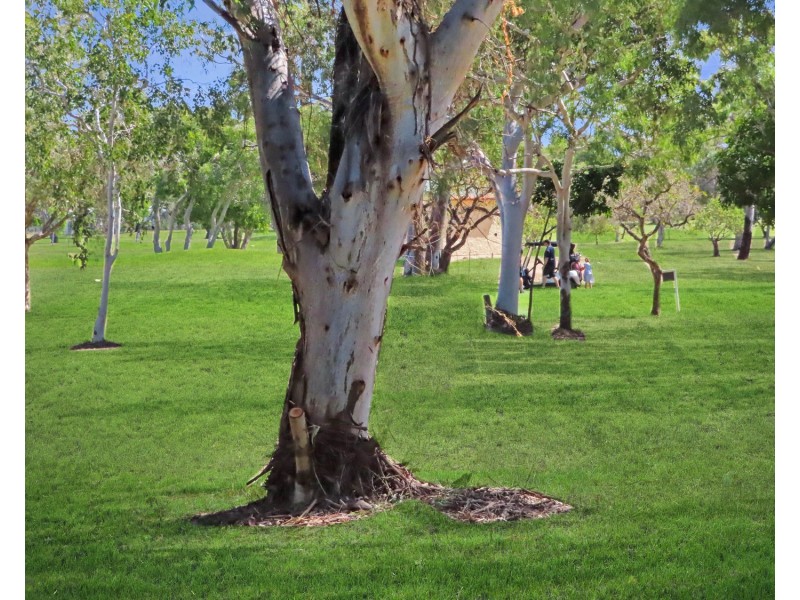 135 Soldiers Road, Bowen QLD 4805