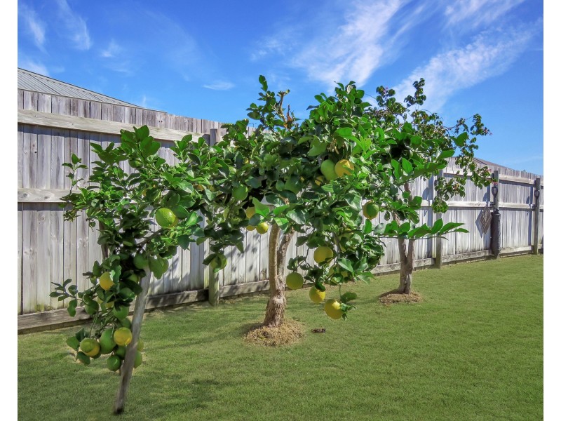 5 Cowrie Street, Bowen QLD 4805