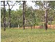 Lot 342 – 34 Africandar Road, Bowen QLD 4805