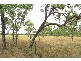 148 Normanby Road, Bowen QLD 4805