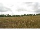 148 Normanby Road, Bowen QLD 4805