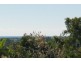 13 Pilcher Place, Bowen QLD 4805