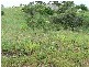 Lot 48 Yardley Court, Bowen QLD 4805