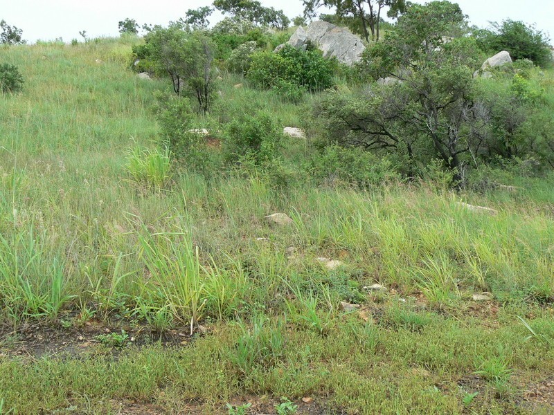 Lot 48 Yardley Court, Bowen QLD 4805