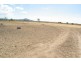 8 Albeitz Road, Bowen QLD 4805