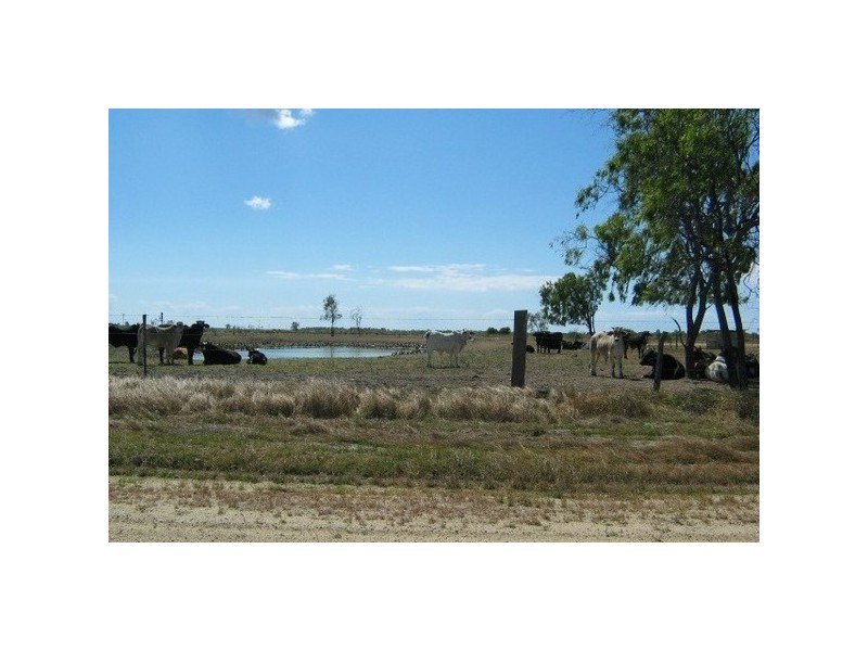 8 Albeitz Road, Bowen QLD 4805