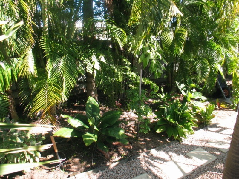 31 Coral Street, Bowen QLD 4805